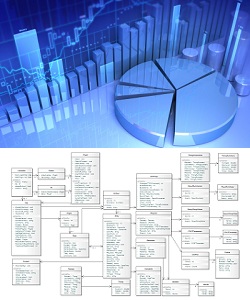 software service
